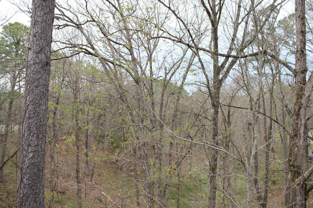 Brydan Suites Eureka Springs Ngoại thất bức ảnh